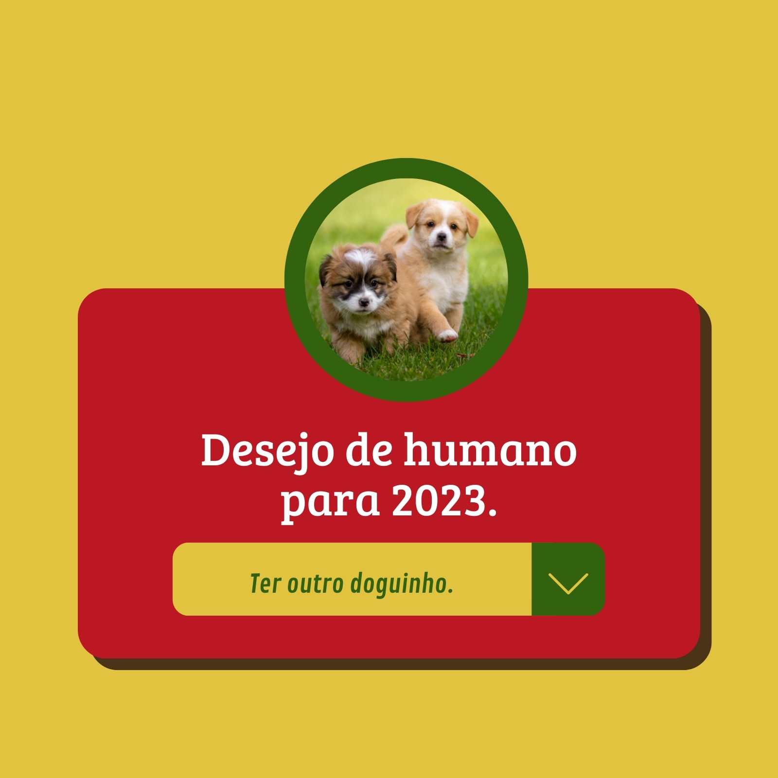 Pinterest  Coisas de cachorro, Cuidados com o pet, Vídeos engraçados de  animais