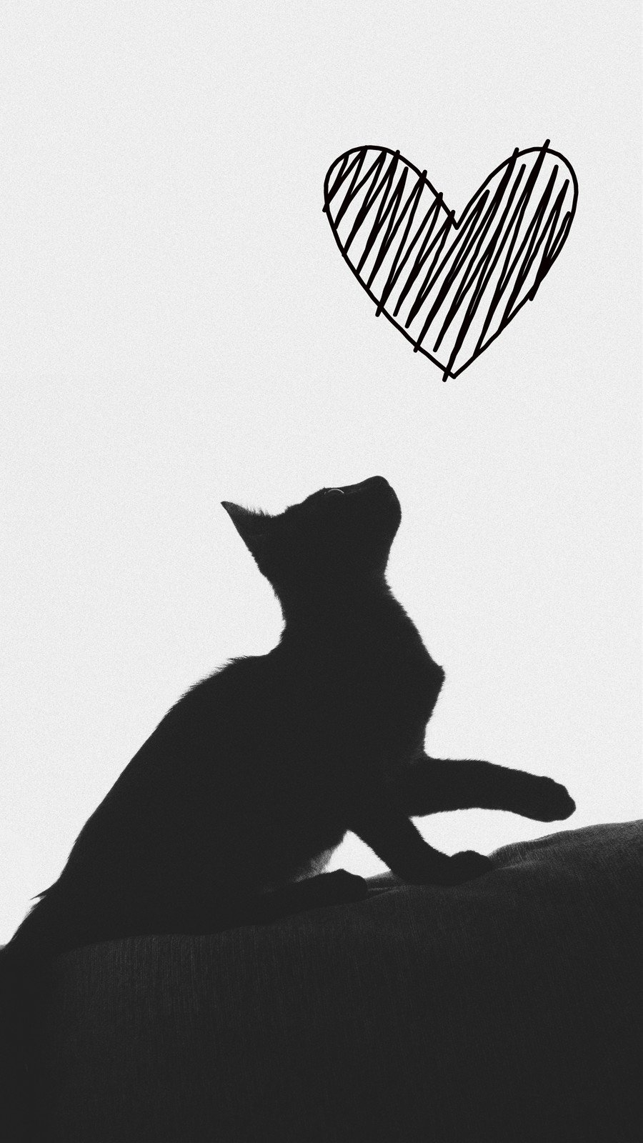 Free and customizable cute cat wallpaper templates