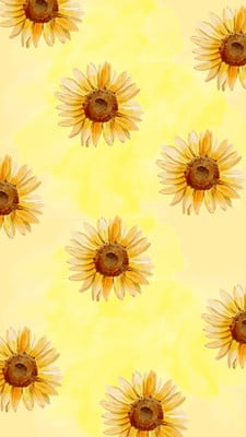 Sunflowers Hd Wallpapers Background, Sunflower Pictures Wallpaper  Background Image And Wallpaper for Free Download