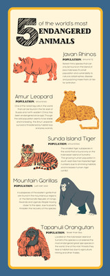 Customize 64+ Animal Infographic Templates Online - Canva