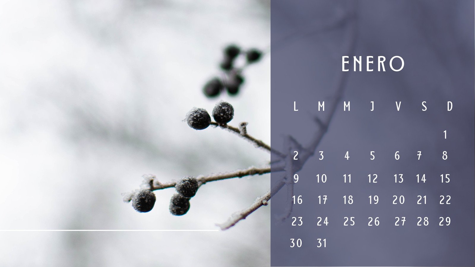 Calendario Mensual Naturaleza Estético Moderno Minimalista Multicolor