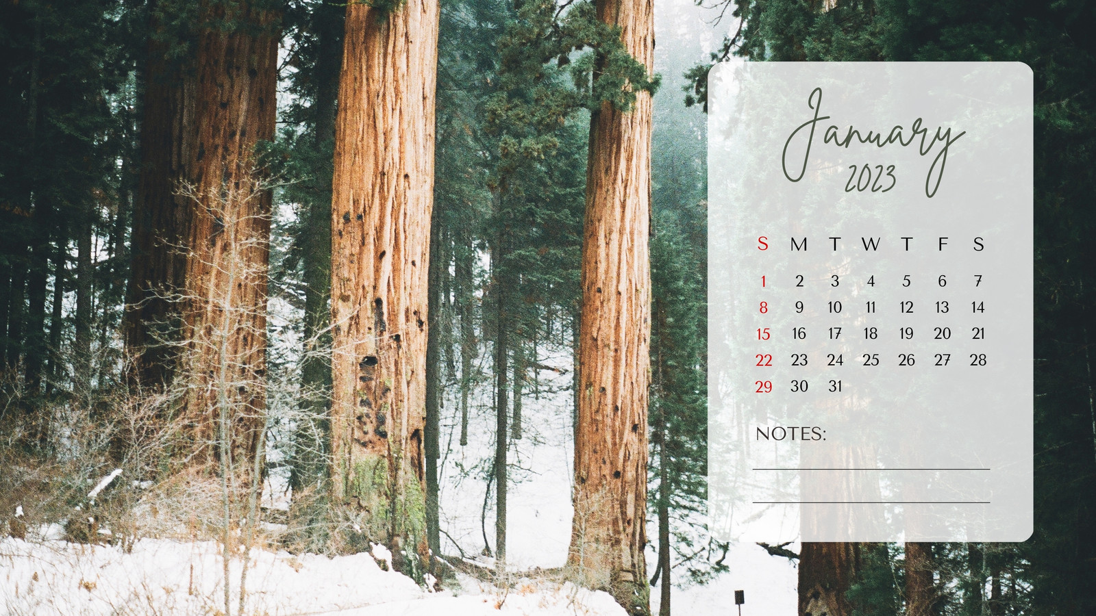 FREE JANUARY 2023 Desktop Calendar Backgrounds EASY DOWNLOAD