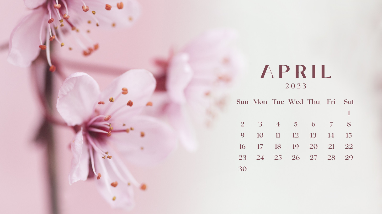 Download Image April 2023 Calendar Wallpaper  Wallpaperscom