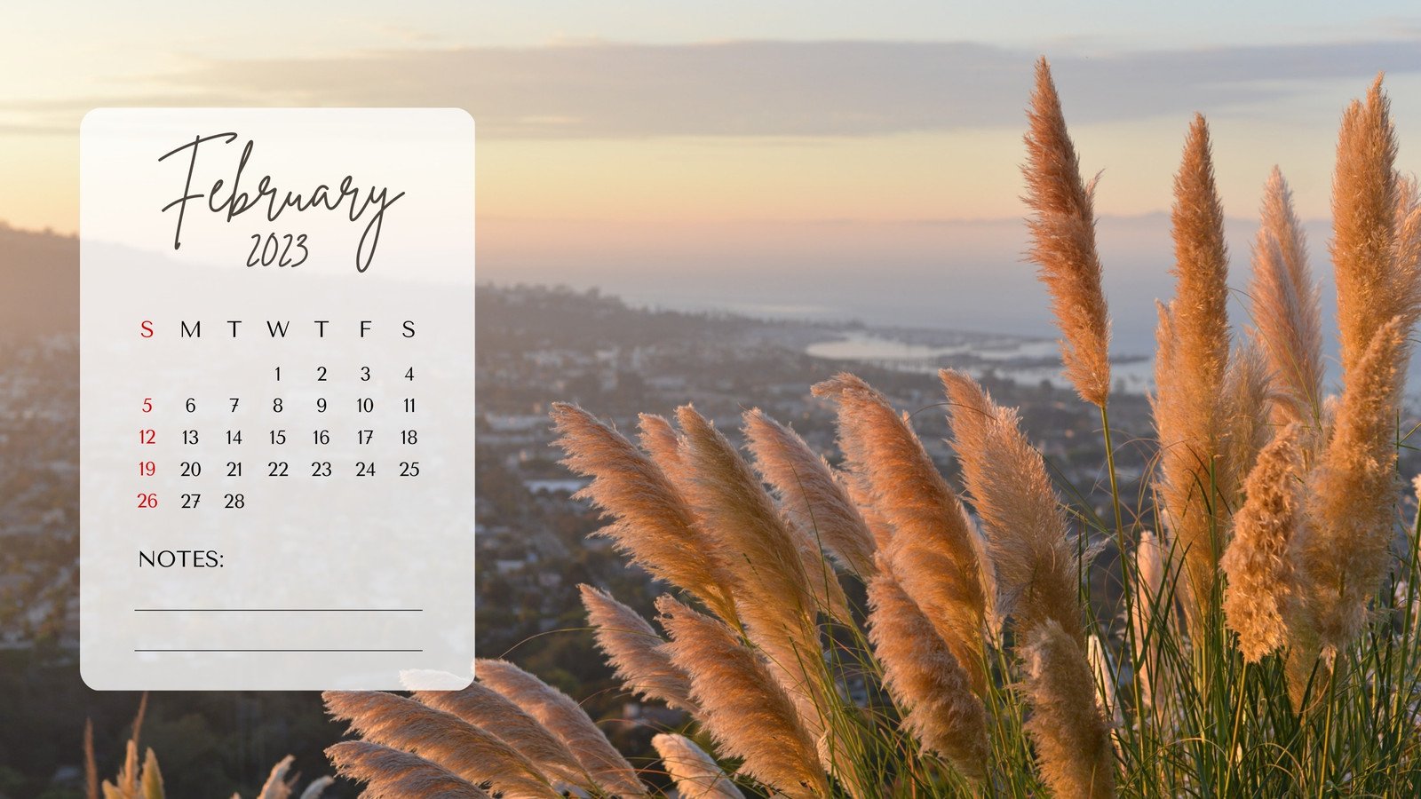 February 2023 Calendar Desktop Wallpapers  PixelsTalkNet
