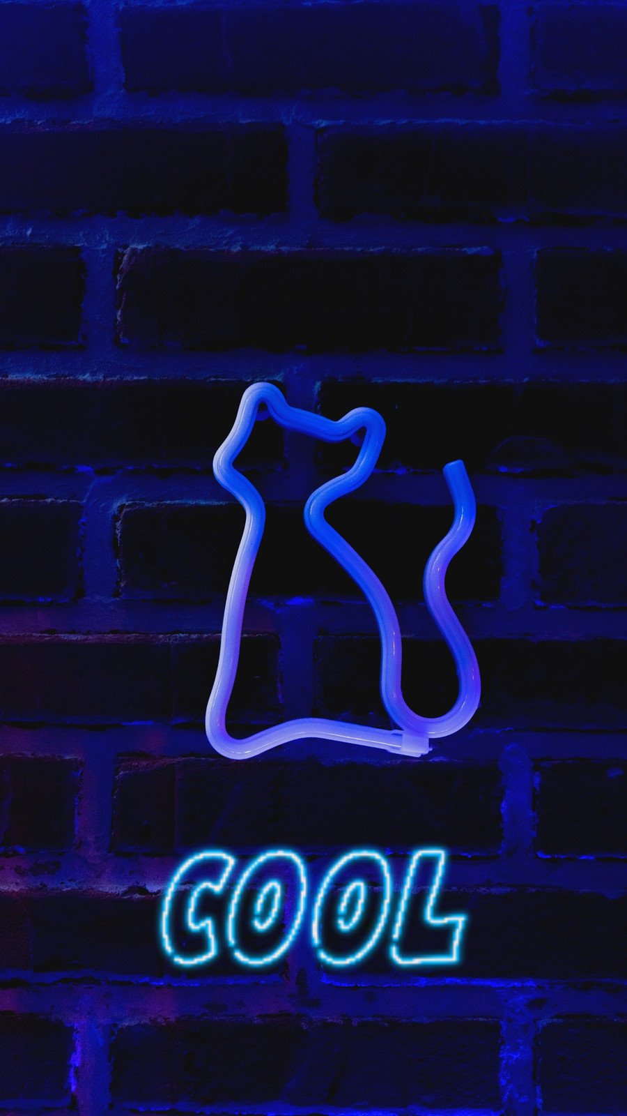 Neon blue, Neon, abstract, black, blue, loveurhunny, HD phone wallpaper |  Peakpx