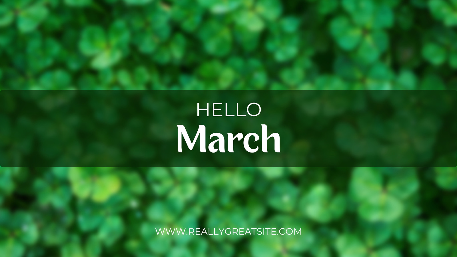 Hello March. Green clover leaves as background Stock Photo