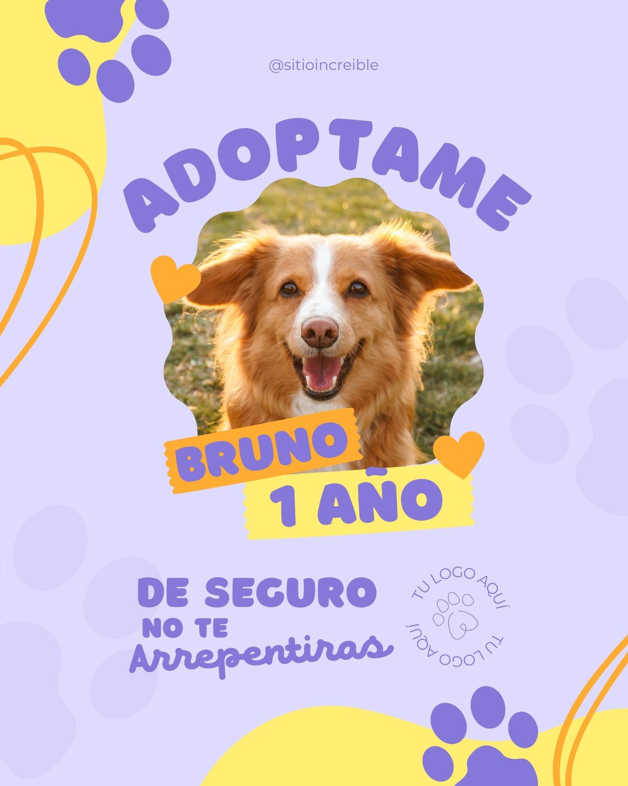 Explorá Afiches de adopción de mascotas personalizables gratis - Canva