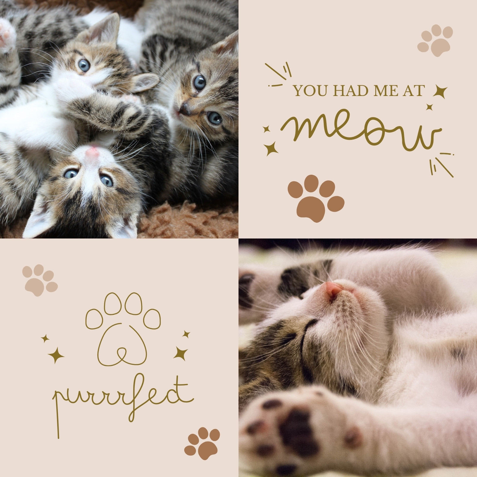 Page 7 - Free and customizable cute cat wallpaper templates