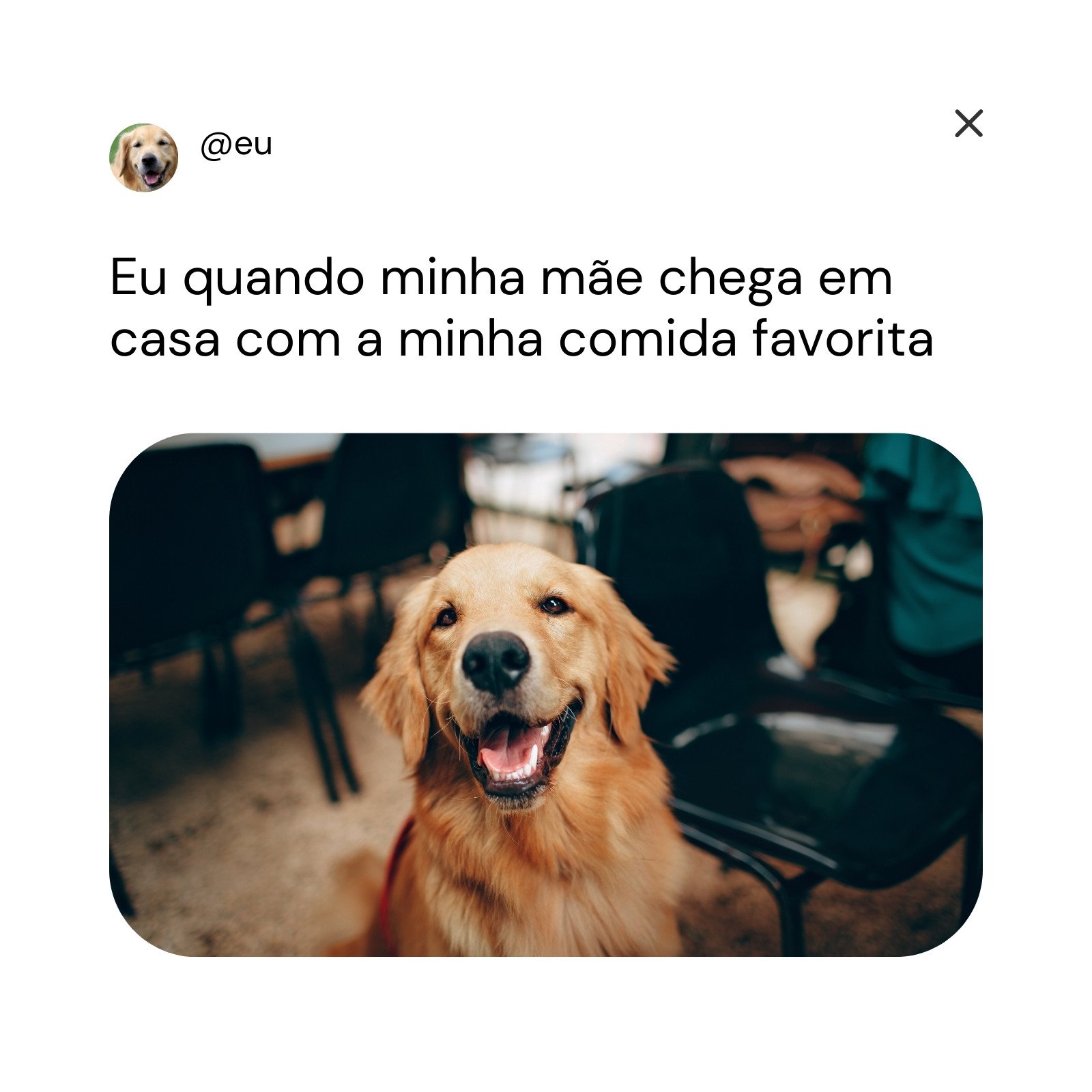 Criar vídeos de memes grátis - Canva