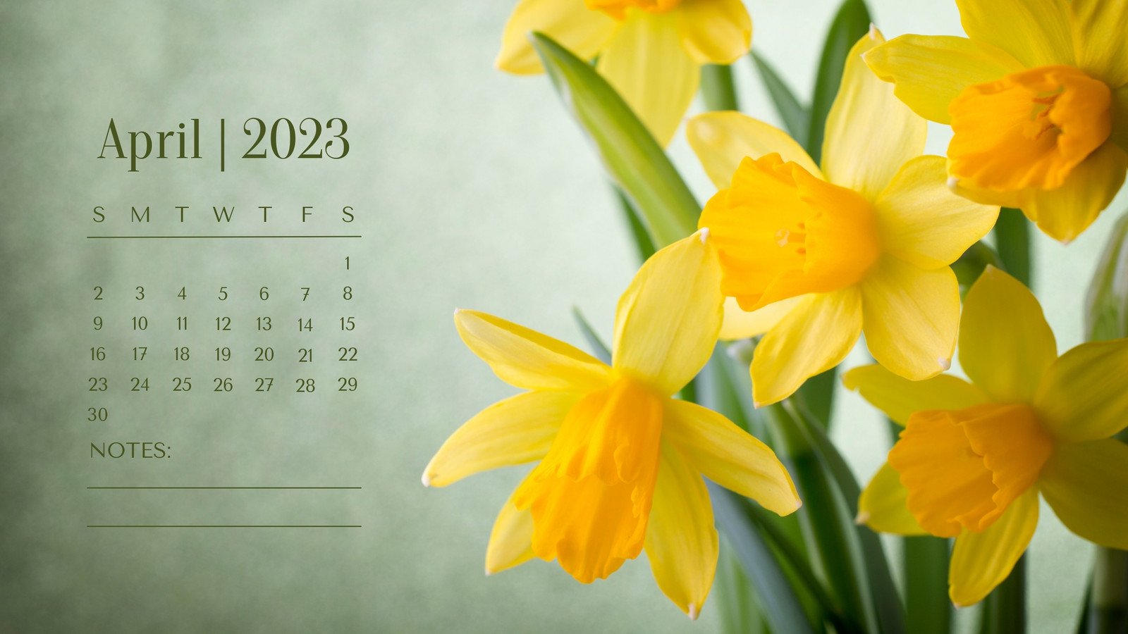 Page 5 - Free and customizable spring desktop wallpaper templates | Canva