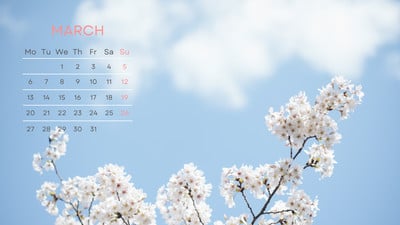 Free and customizable spring desktop wallpaper templates | Canva