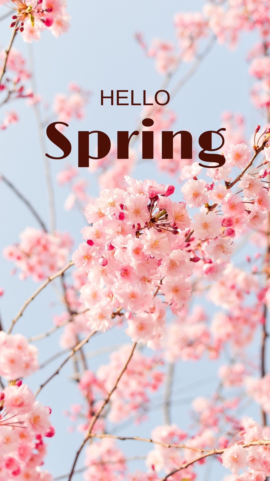 100+ Spring wallpaper cute For your phone and desktop