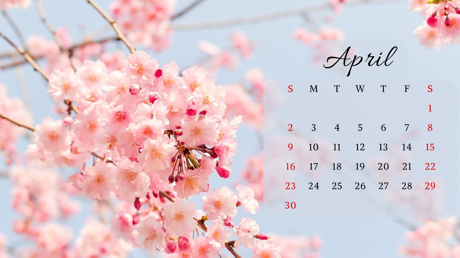 Hello Spring Wallpapers - Top Free Hello Spring Backgrounds -  WallpaperAccess