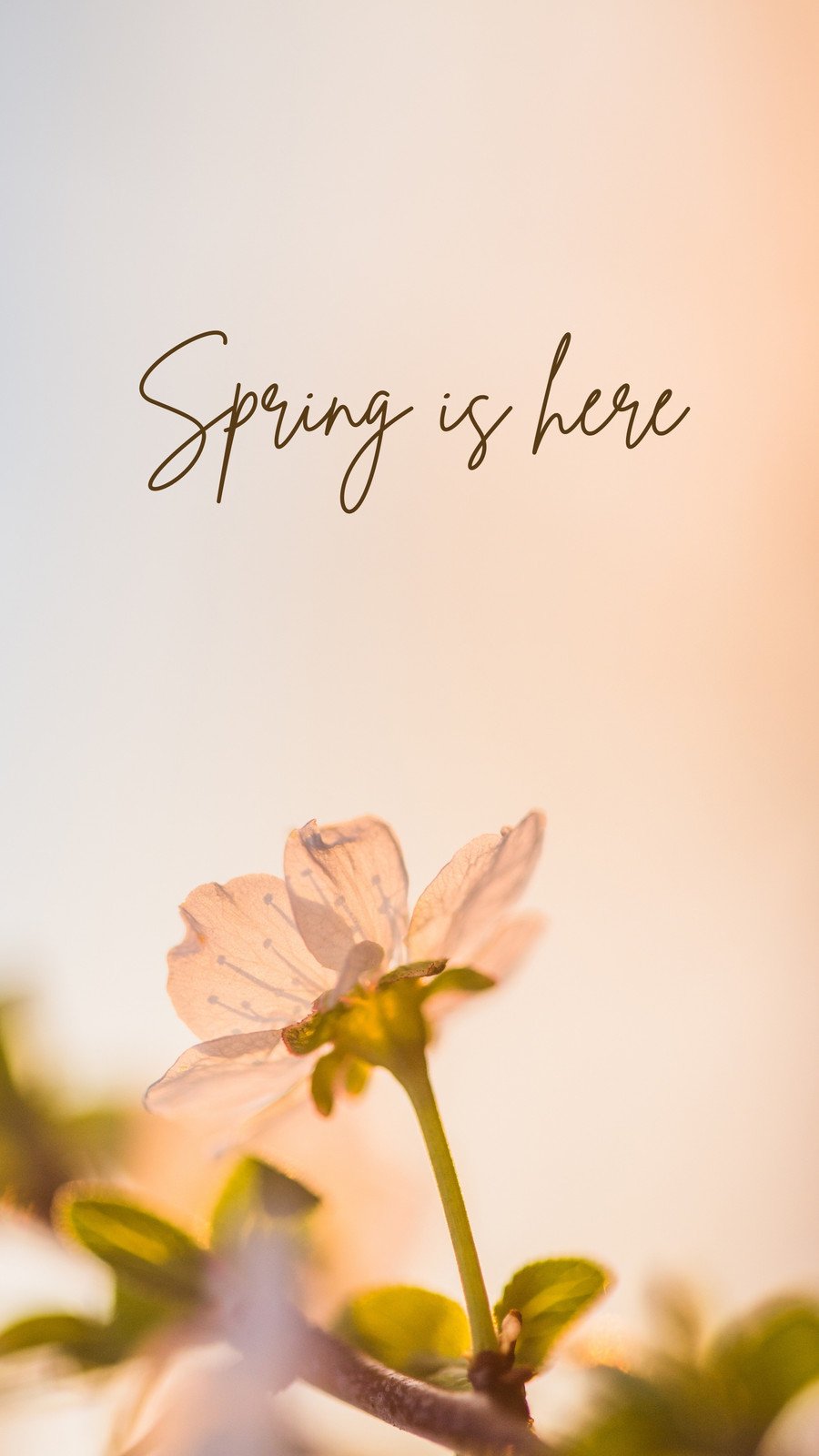 Customize 434 Spring Aesthetic Phone Wallpaper Templates Online  Canva