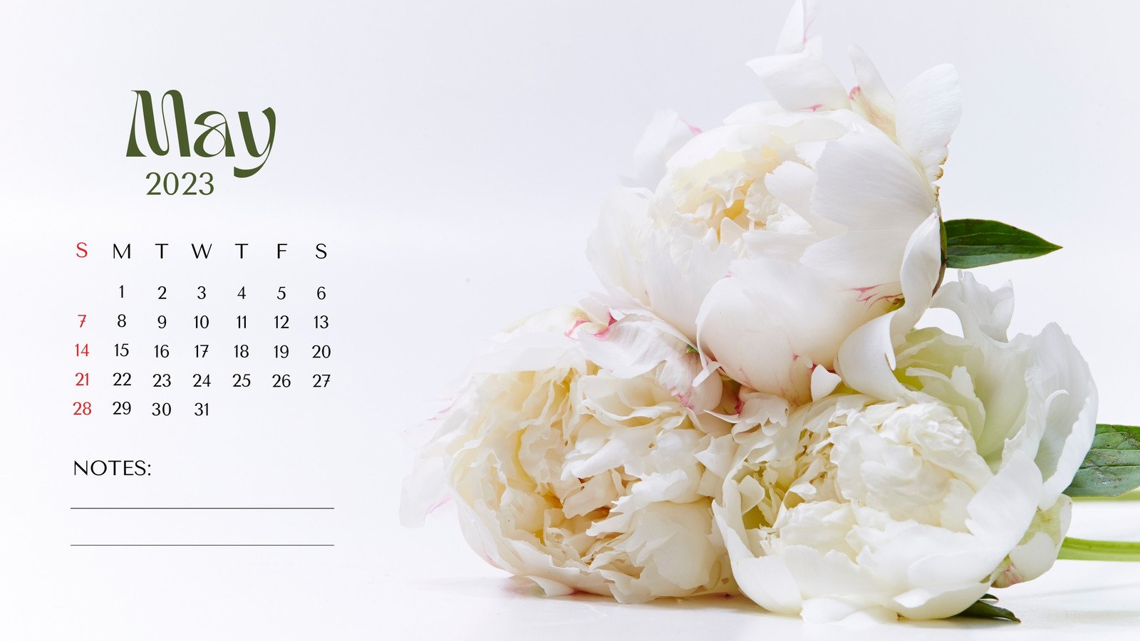 Free May wallpapers for desktops and smart phones  9 to choose from