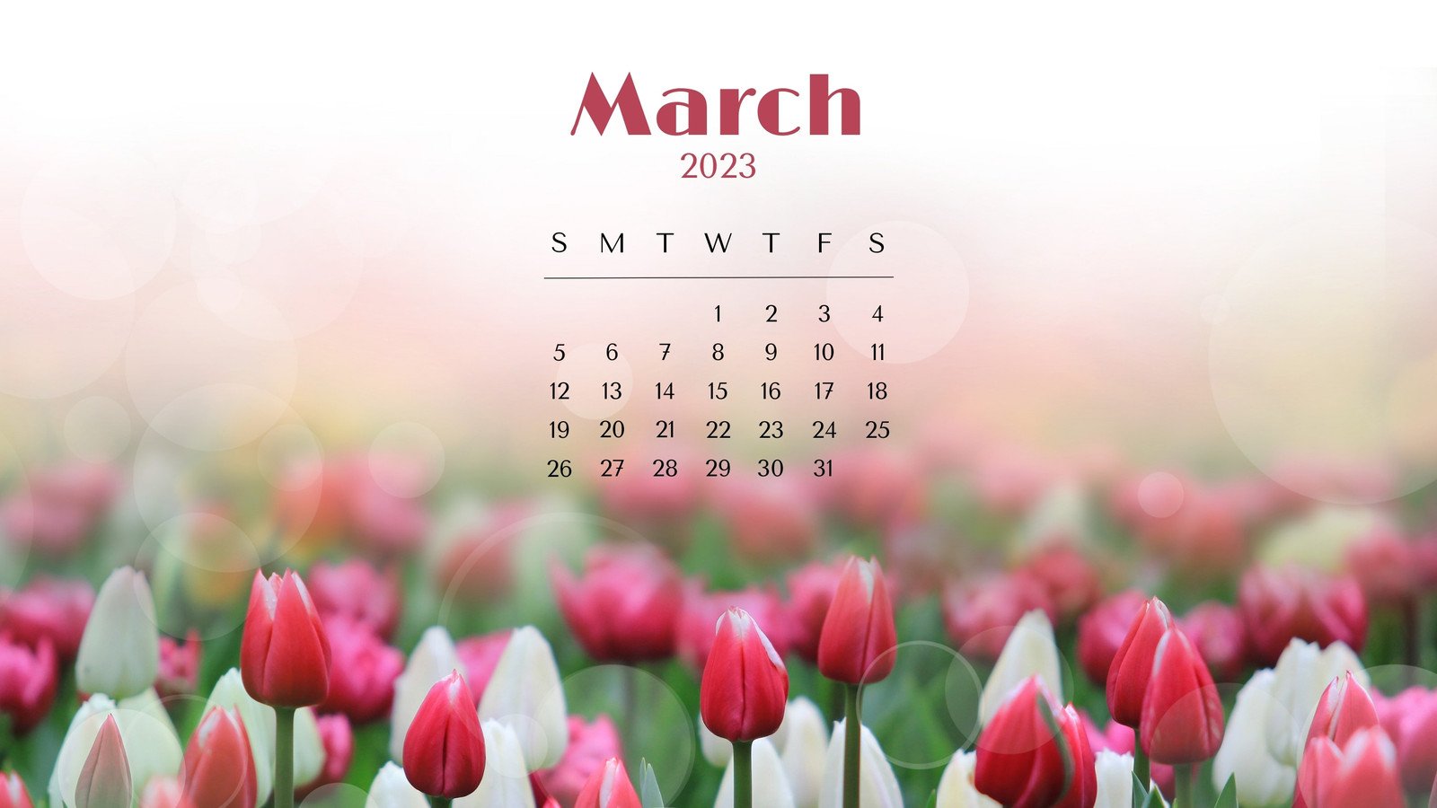 Cute March 2023 Floral Calendar HD Wallpapers