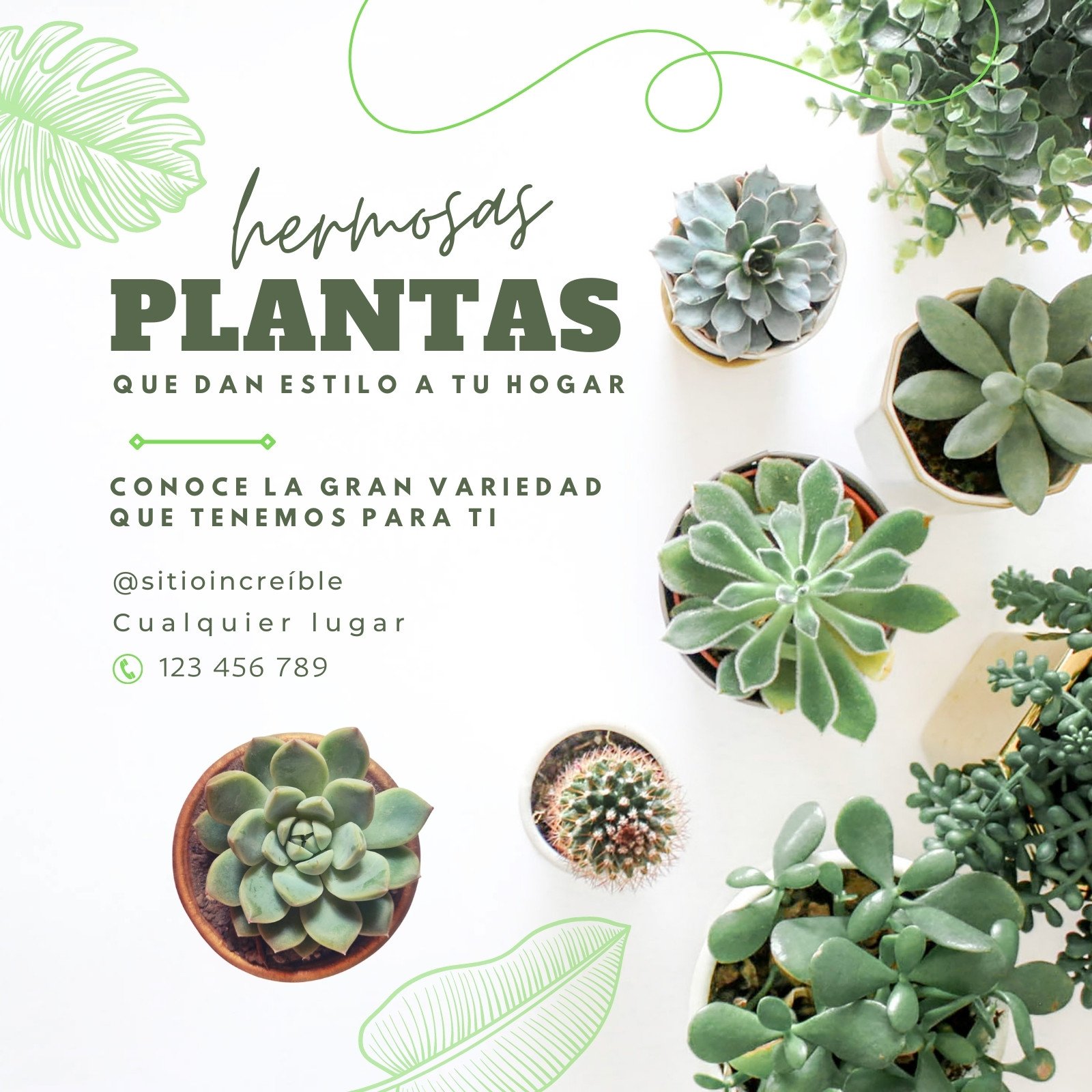 PLANTAS PARA REGALOS CORPORATIVOS: Plantas personalizadas