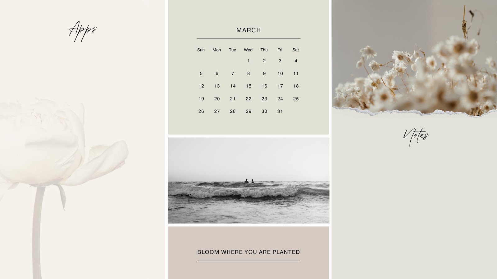 Download Calm Aesthetic March Calendar Wallpaper  Wallpaperscom