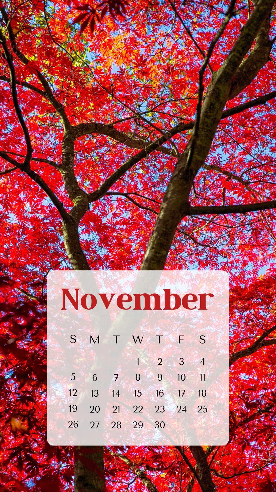 Free November 2022 Phone  Desktop Wallpaper  The Flourish Co