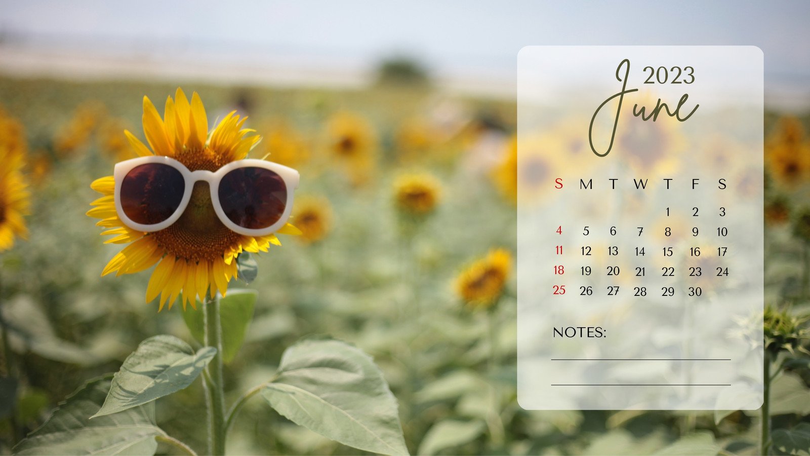 June 2018 wallpaper calendar for desktop  smartphone