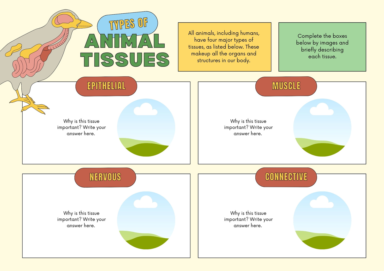 Things Animals Need (Graphic Organizer)