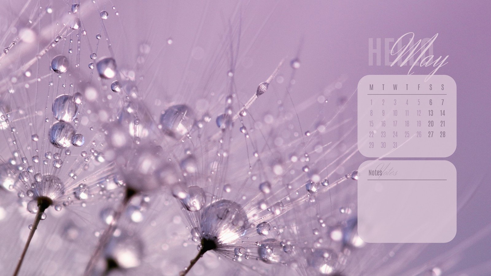 Wallpaper Lilac Aesthetic  Gallery posted by beebaeyourself  Lemon8