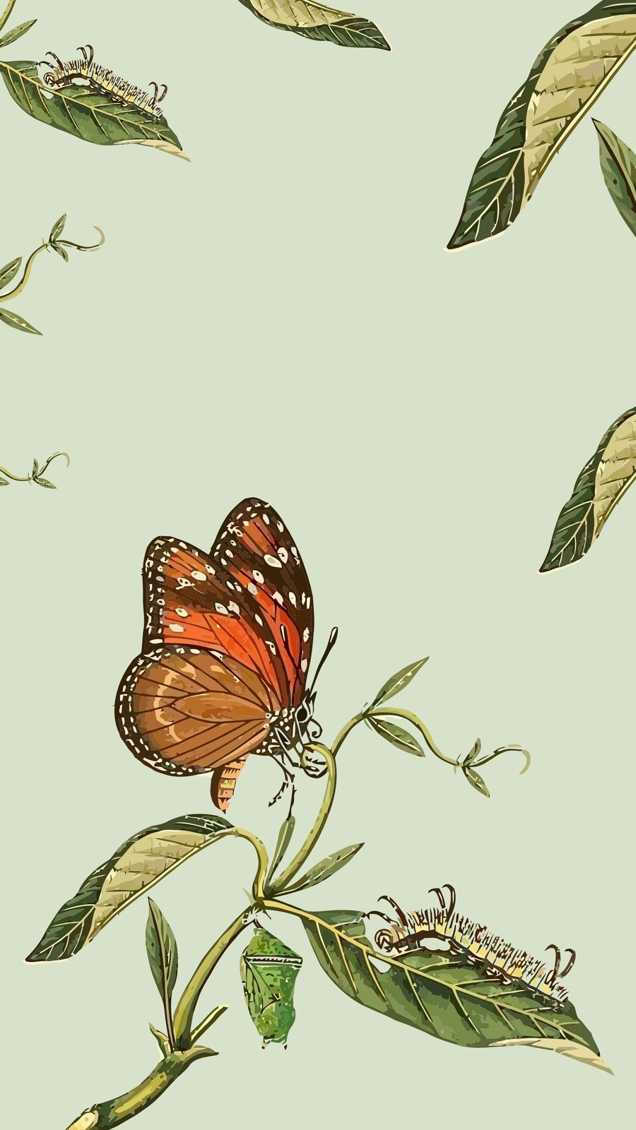 green butterfly background