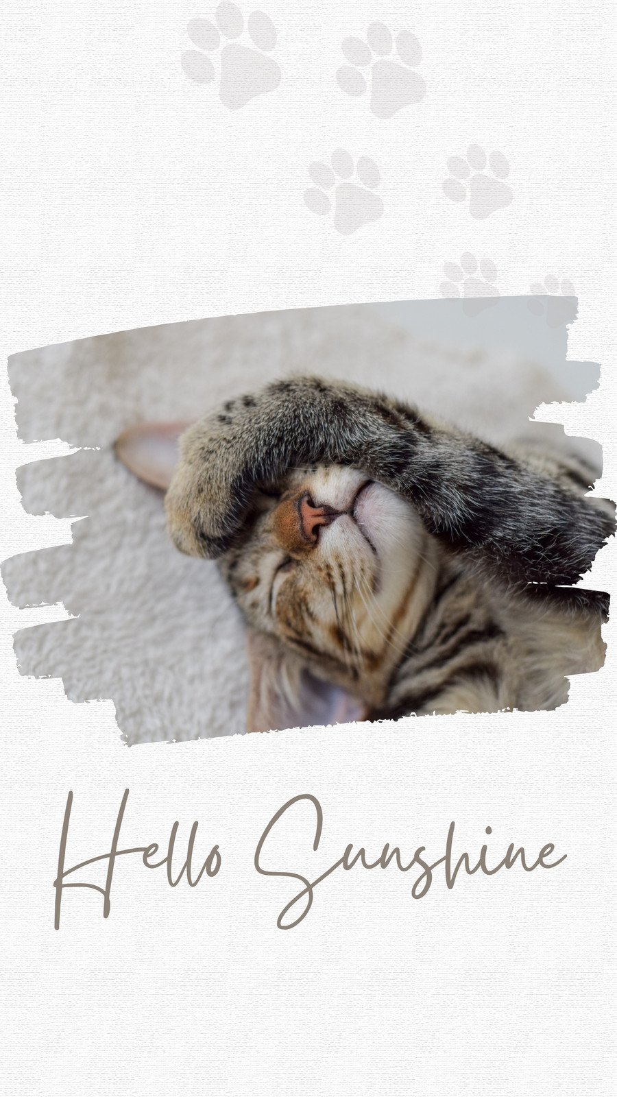 Download Sleeping Cute Cat Aesthetic Wallpaper