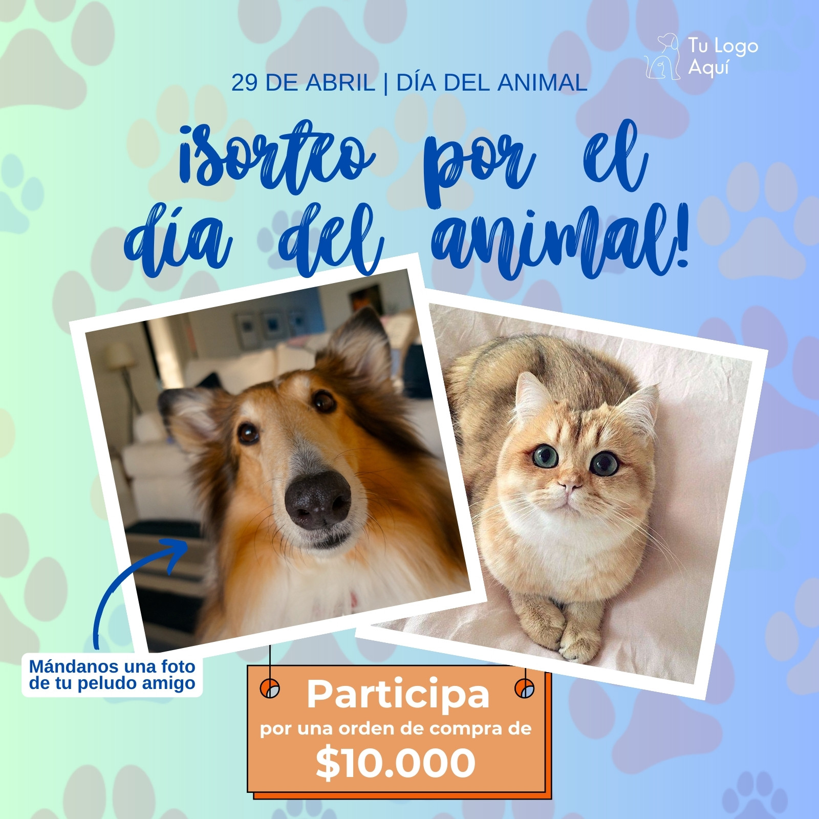 Explorá plantilla de huellas de perro personalizables gratis - Canva