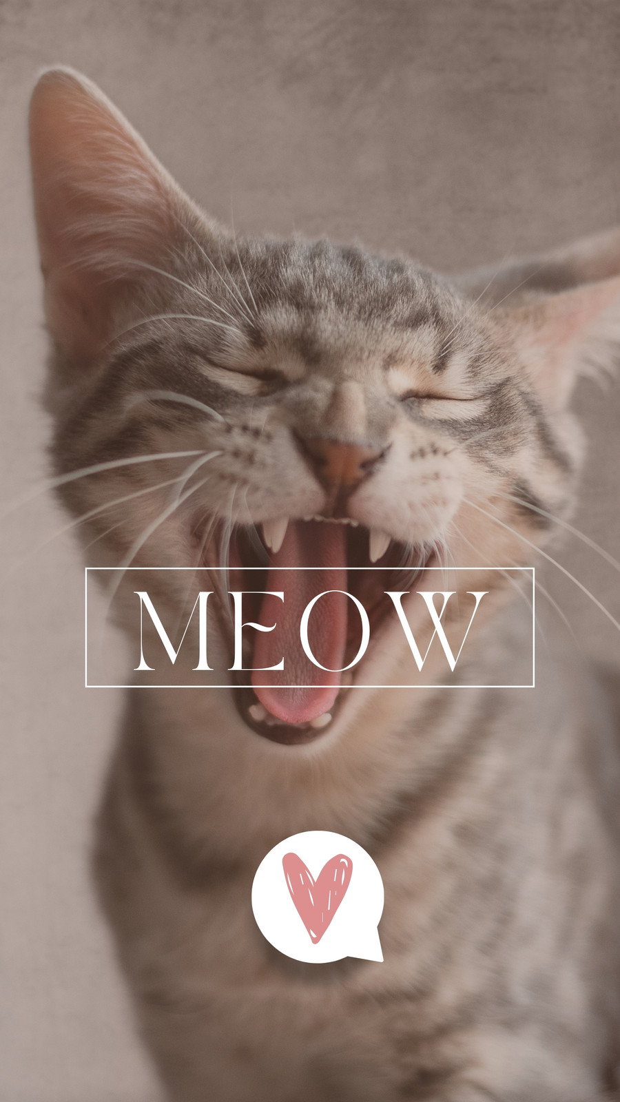 Meow, magenta, art, cat HD phone wallpaper | Pxfuel