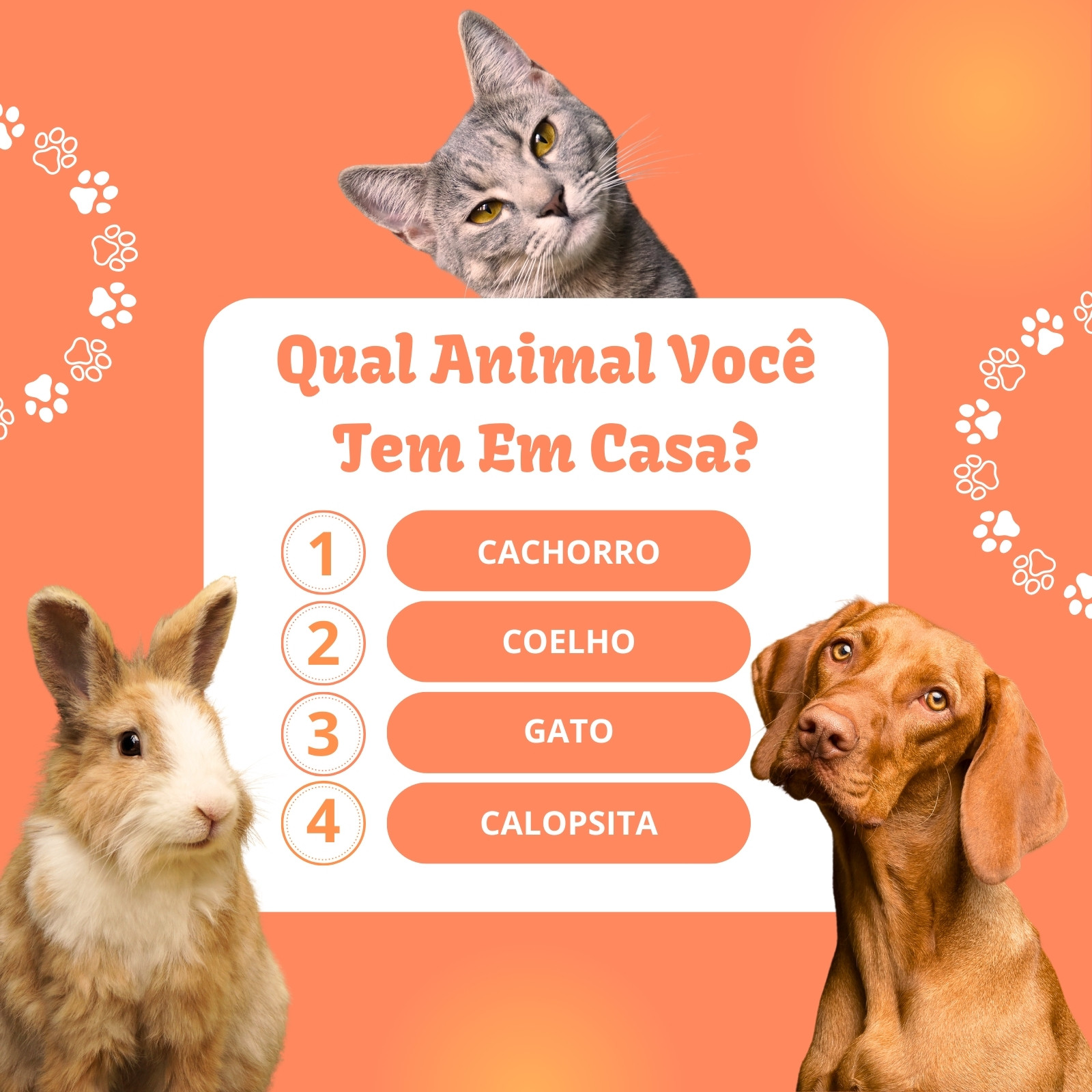 template Meu Pet Quiz  Instagram, Cachorro, Animal de estimação