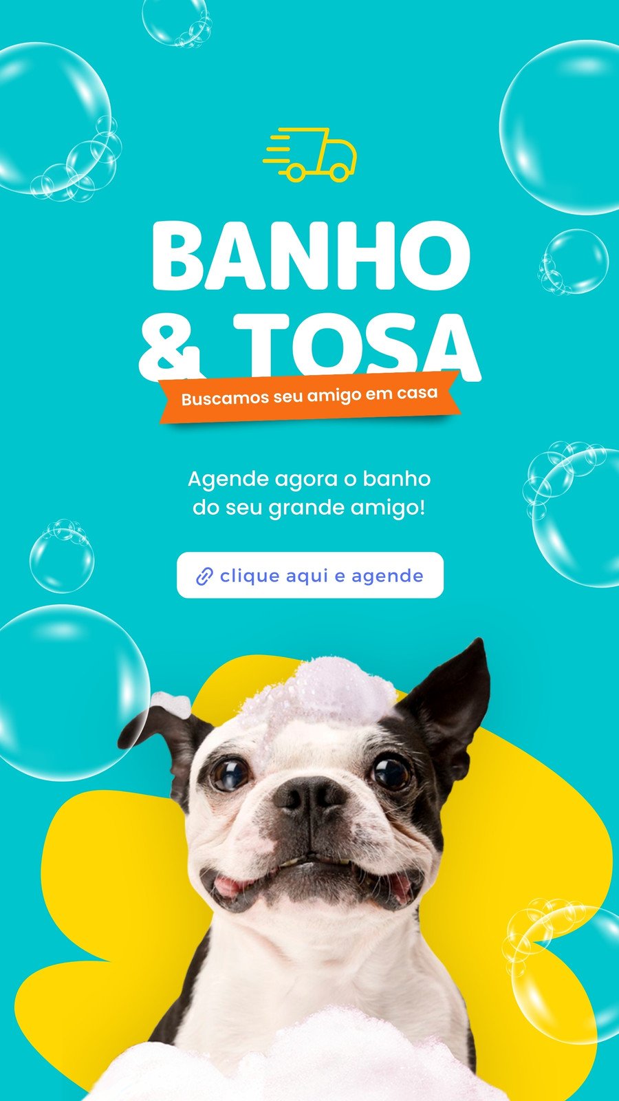 Banho e Tosa para Gato Agendar Cidade Dutra - Pet Shop Perto de