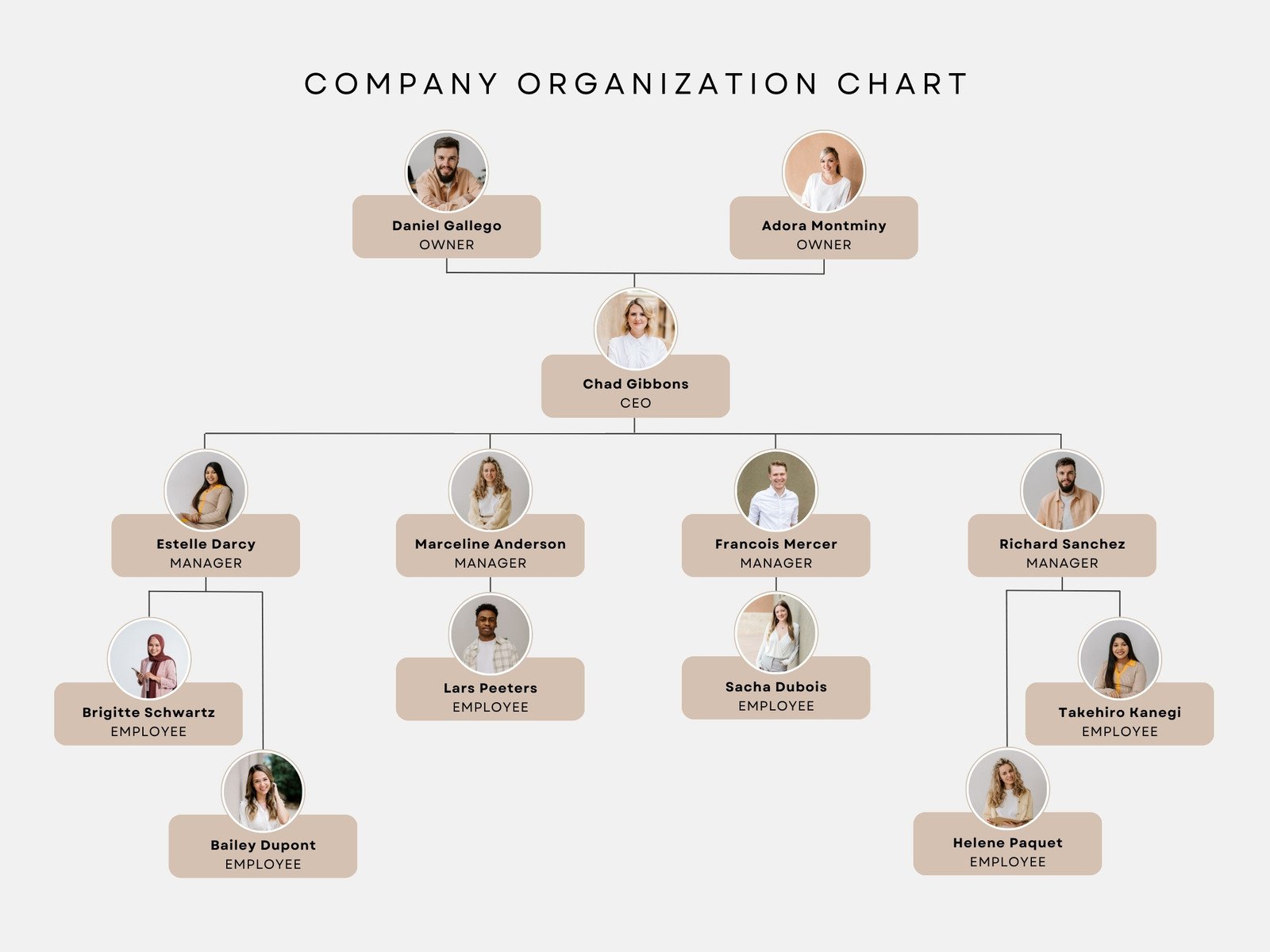 company organizational chart template