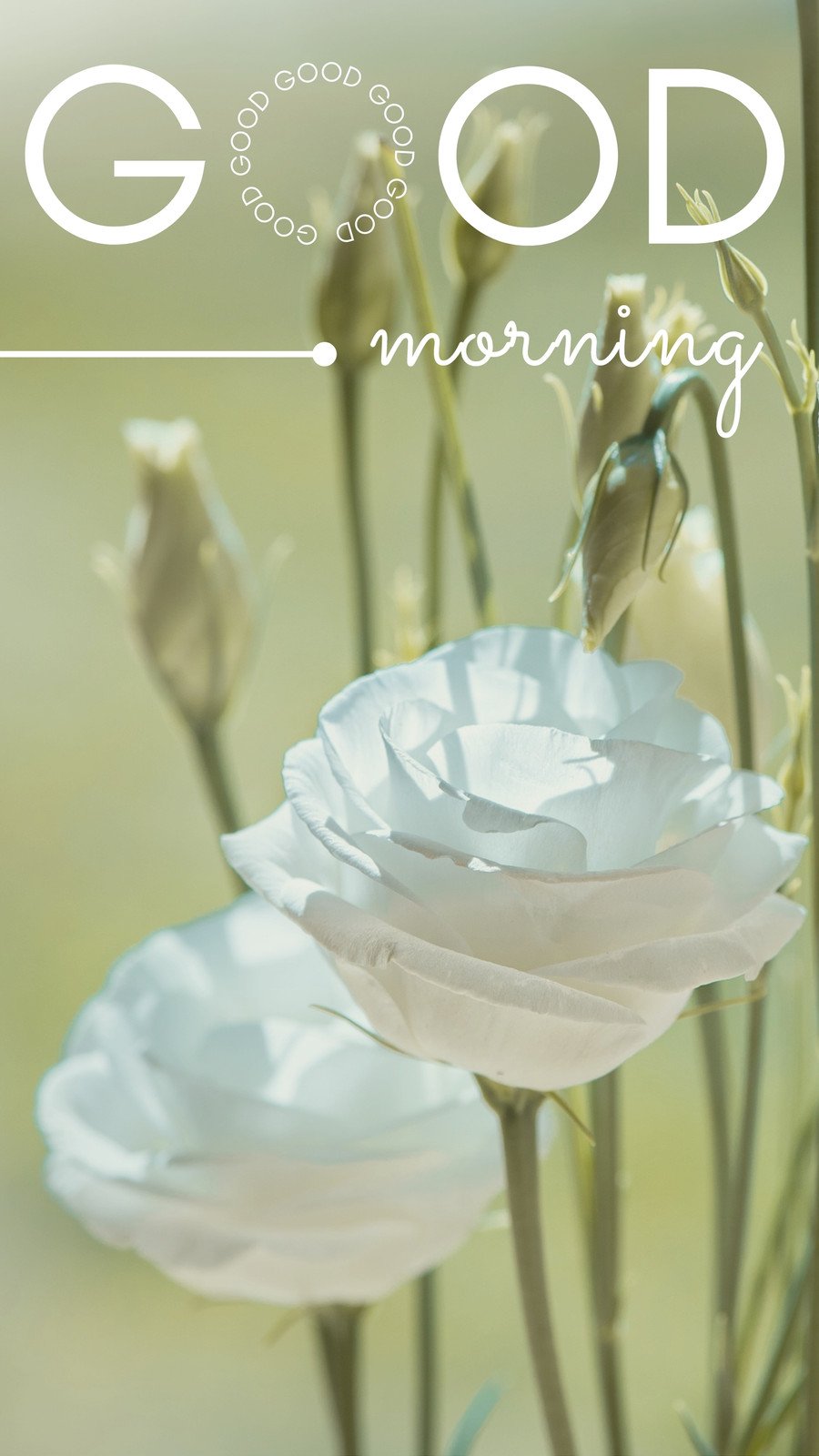 Free And Customizable Good Morning Templates