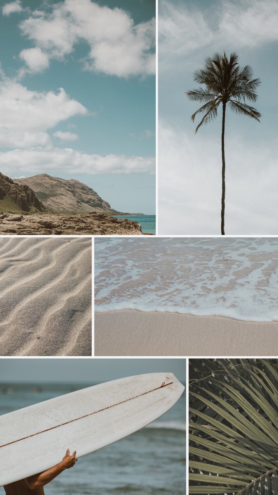 Minimal Tropical Art Collage Wallpaper Beach Summer Texture and Palm  Leaf Still Life Fashion Scene Vacation Concept Stock Photo  Image of  collage fresh 211841552