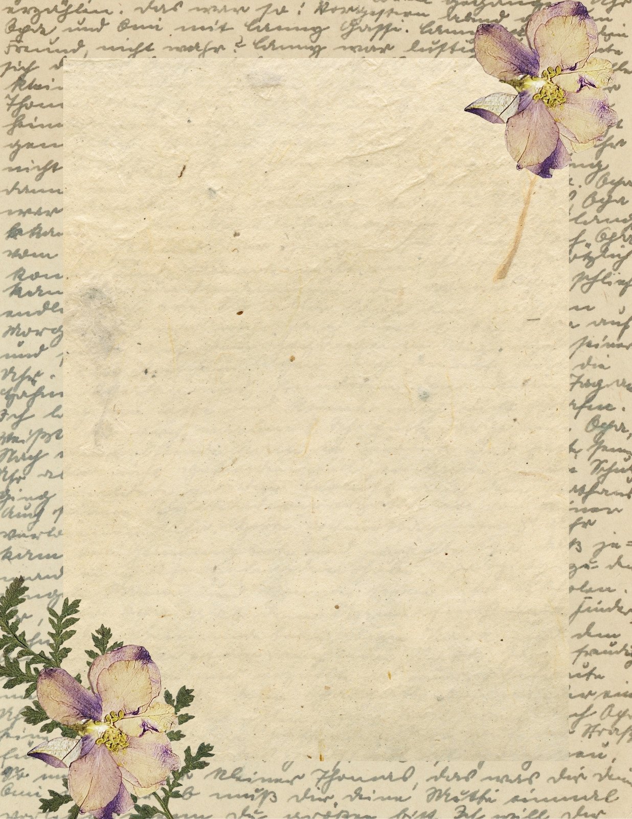 Tan Vintage Stationery Journal Blank Page Border Notepaper US Letter