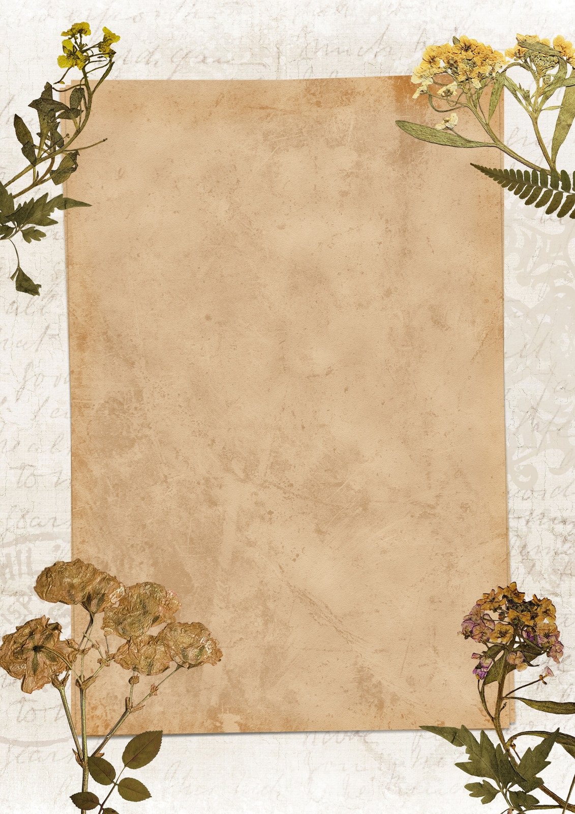 antique flower page border