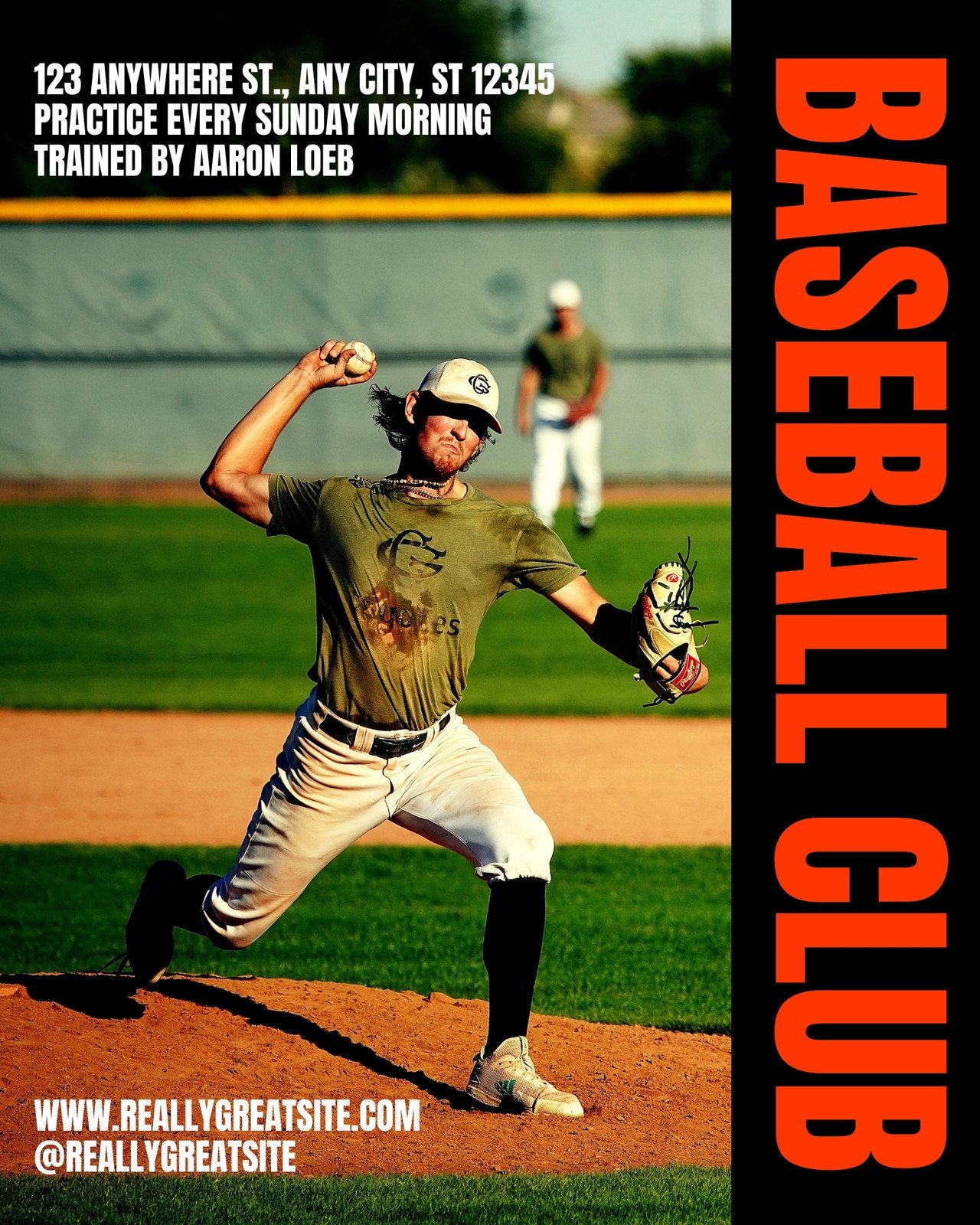 The Baseball Poster