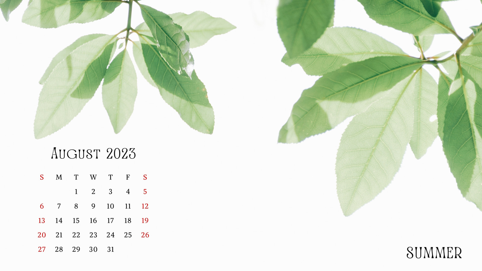 June 2023 Calendar Desktop Wallpaper Background