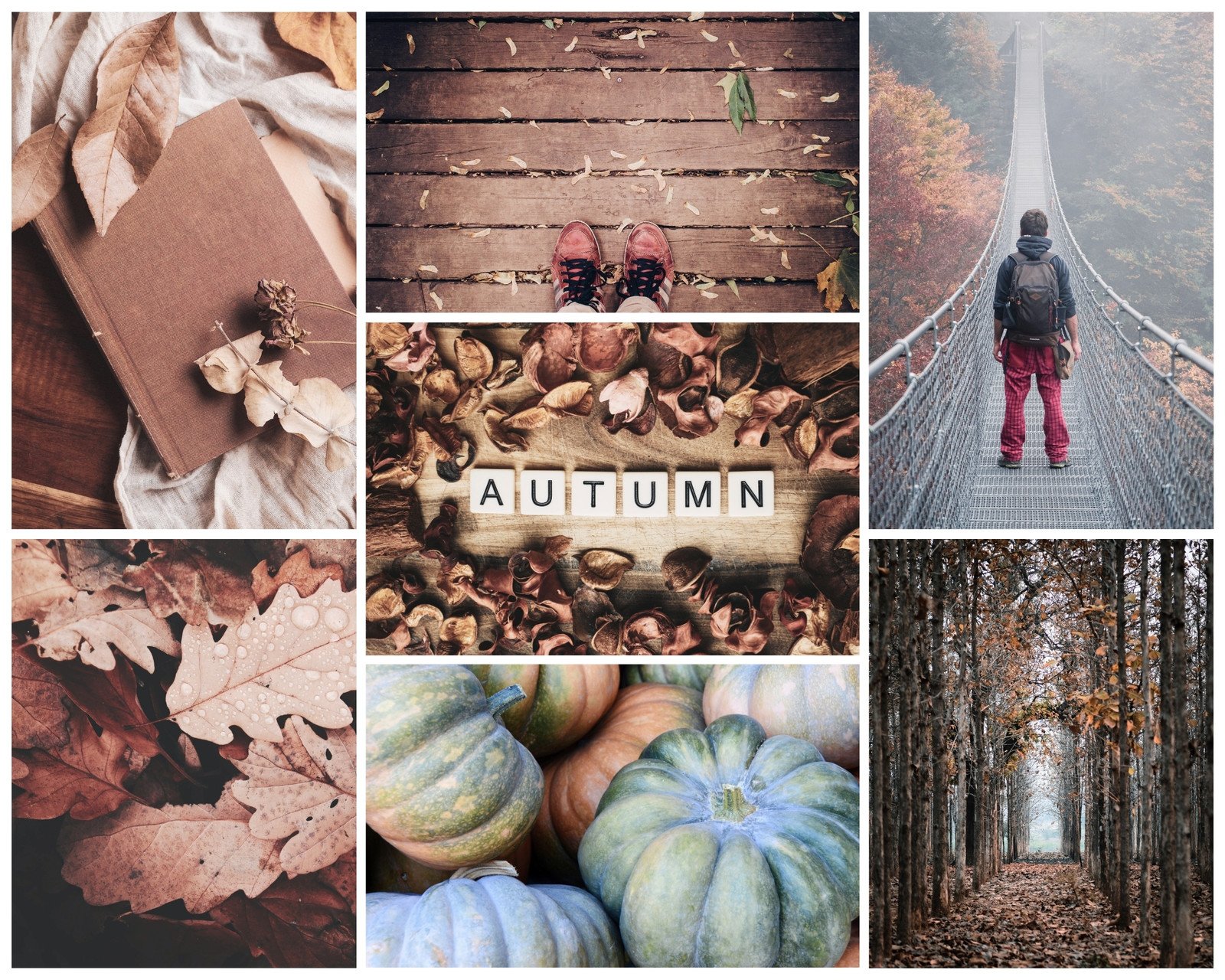 Free and customizable autumn templates