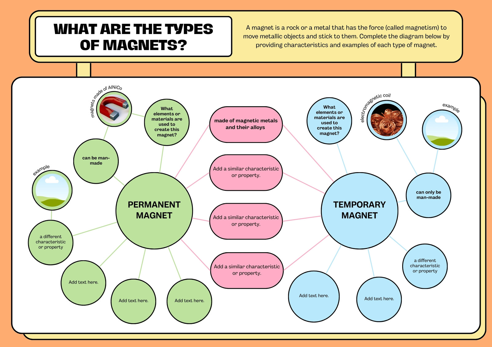 Types of Scientists Graphic Organizer