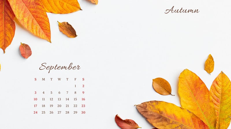 Download A calendar and lush trees to mark the beginning of September.  Wallpaper | Wallpapers.com