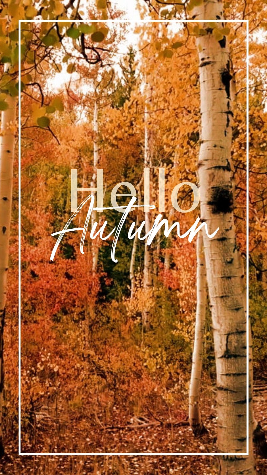 autumn quotes tumblr