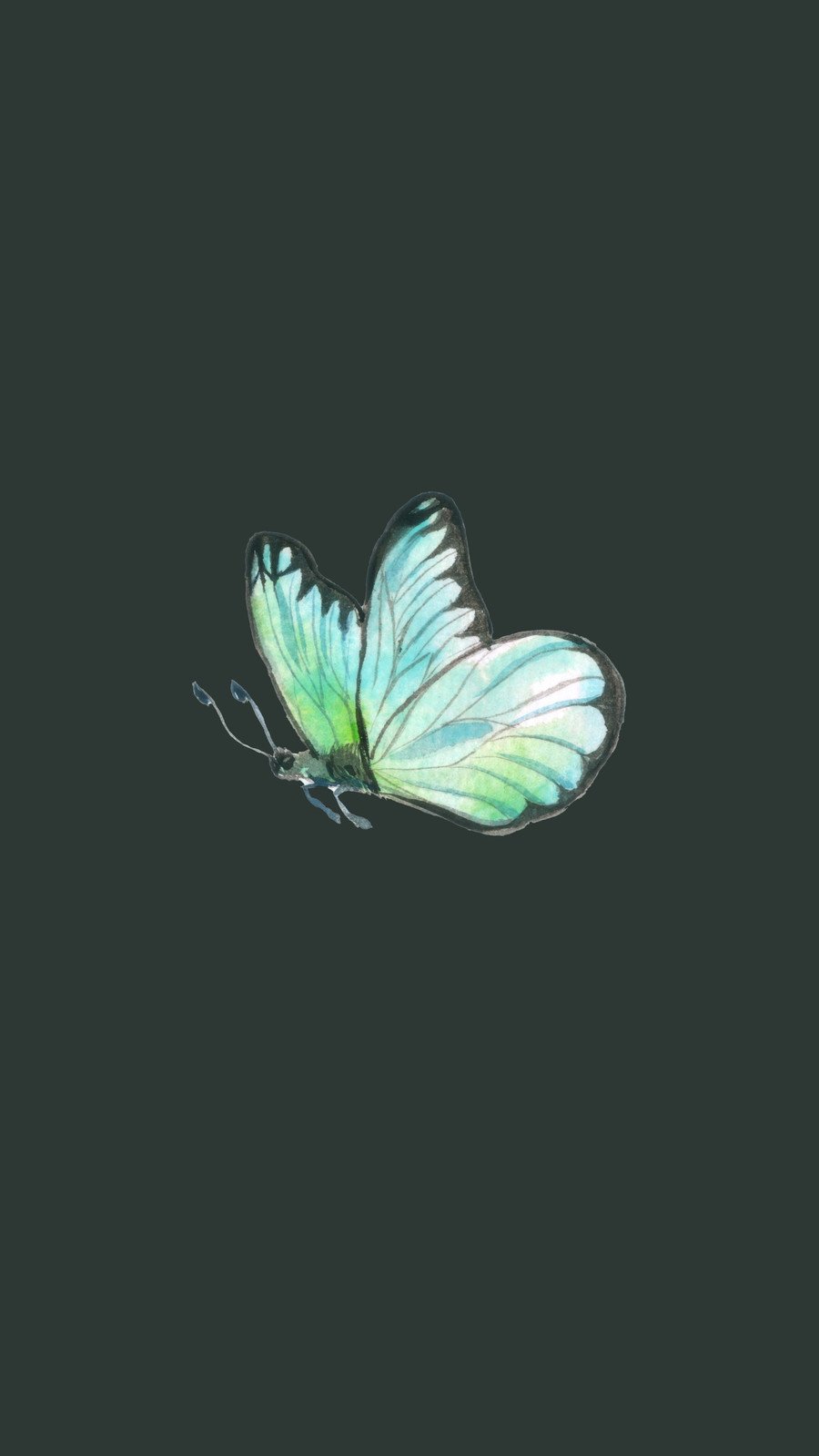 green butterflies wallpaper