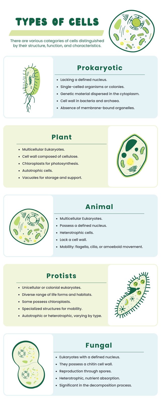 cells clipart in biology project cover page