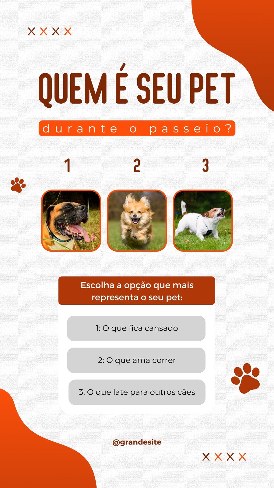 template Meu Pet Quiz  Instagram, Cachorro, Animal de estimação