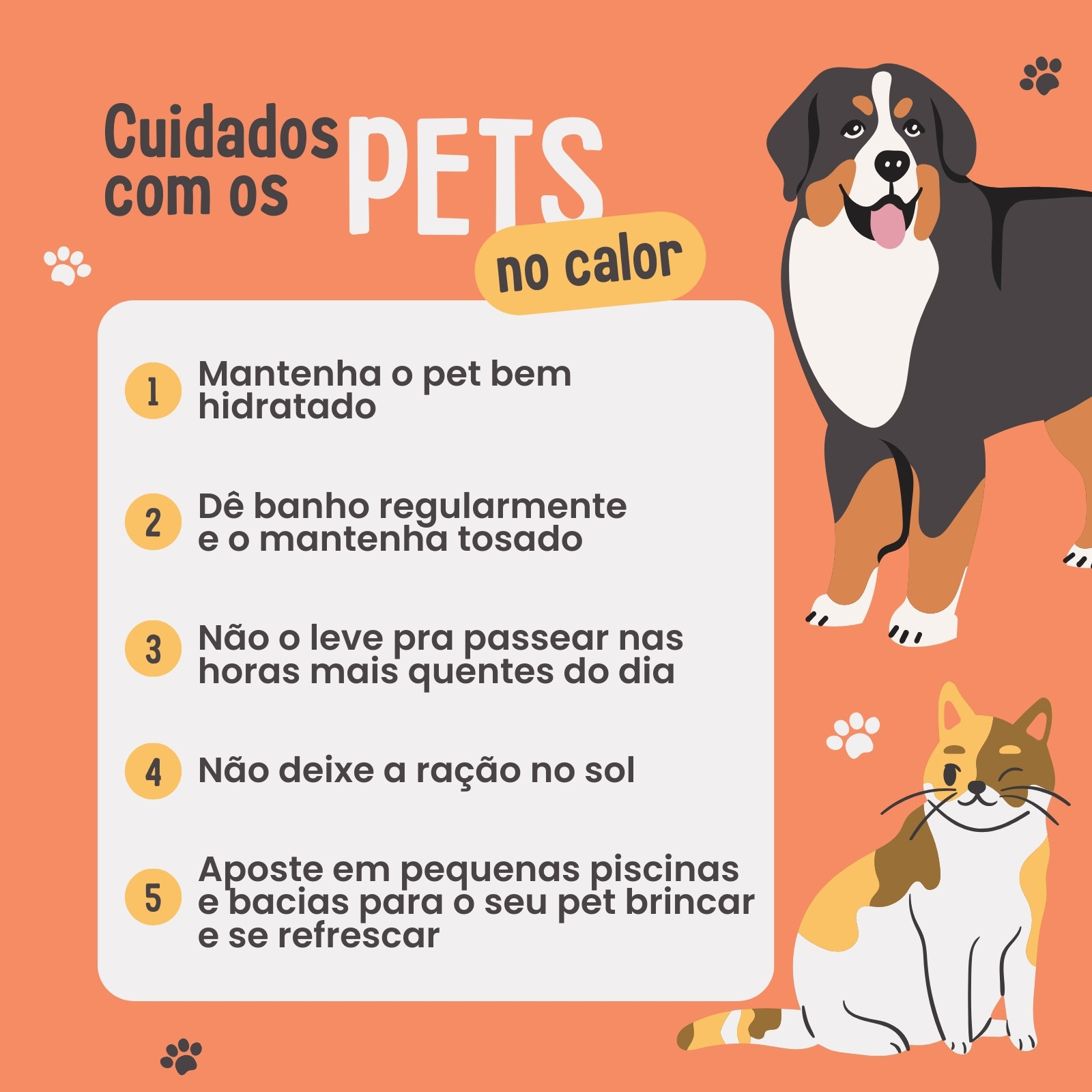 template Meu Pet Quiz  Instagram, Cachorro, Animal de estimação