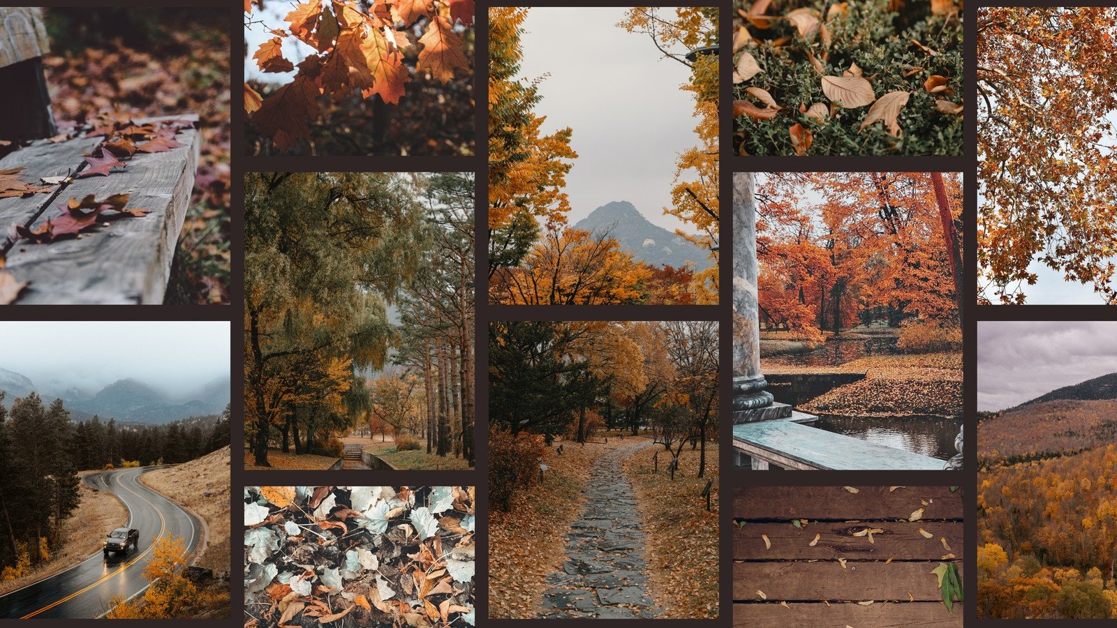 Fall Background Images, HD Pictures and Wallpaper For Free