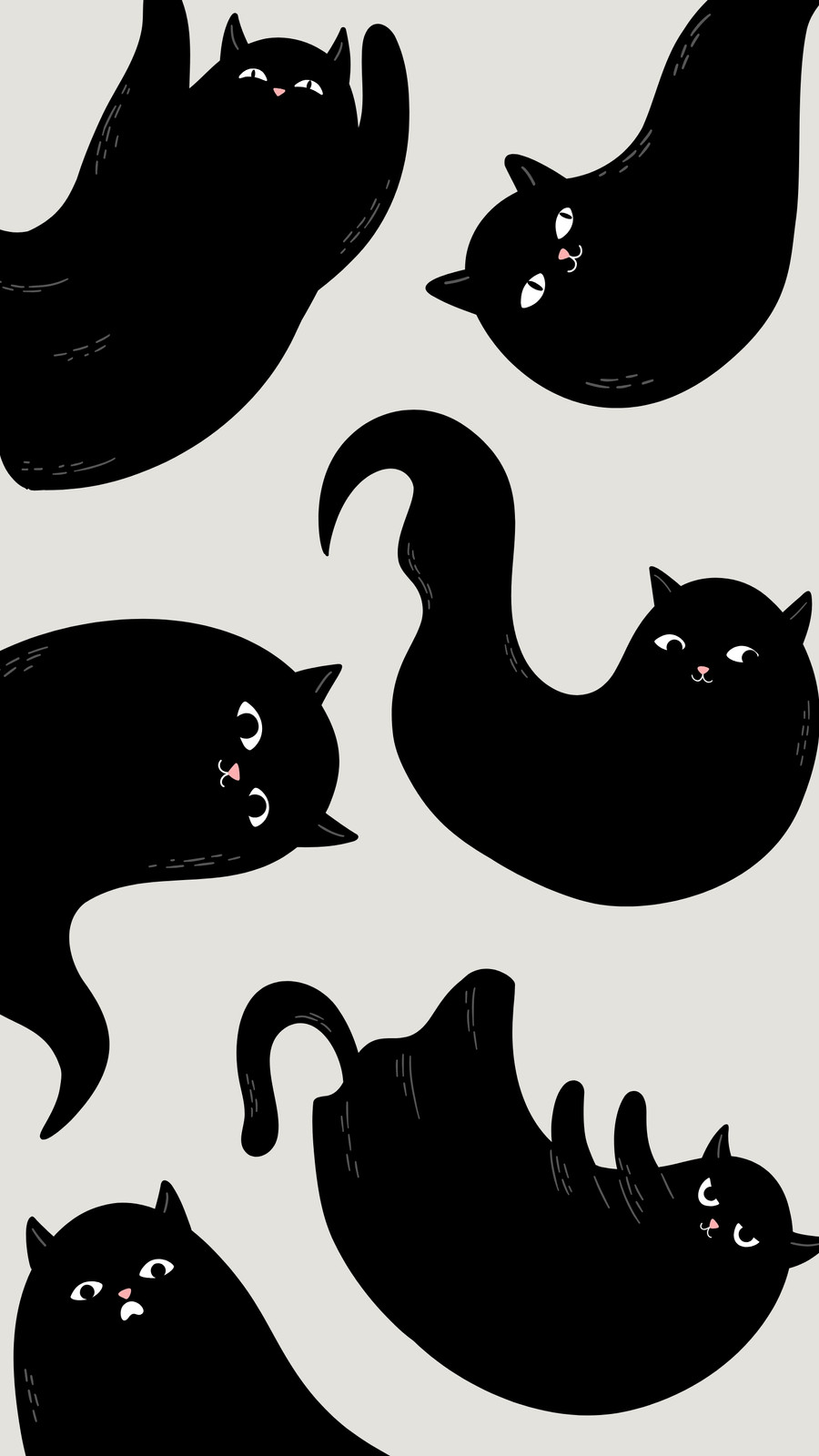 funny black cat wallpaper