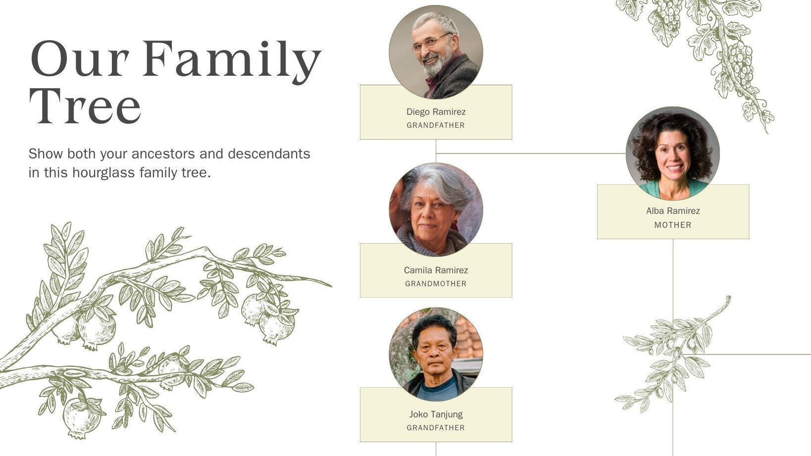 Buy Ancestry Book Template Family Tree Family History and Genealogy  Printable Book iPad Mac PC Canva Online in India 